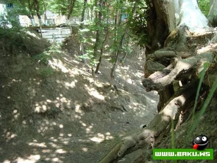 Nabran Təbiəti