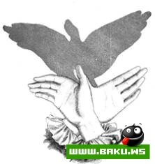 Bacarıqlı əllər