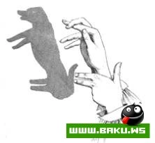 Bacarıqlı əllər