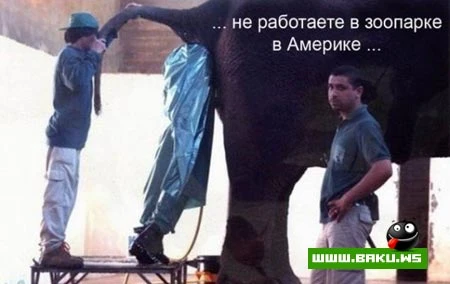 Вас не устраивает работа? (9 фото)