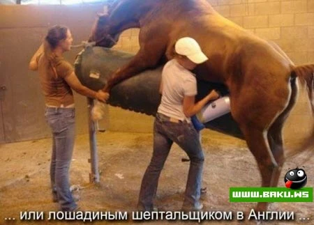 Вас не устраивает работа? (9 фото)