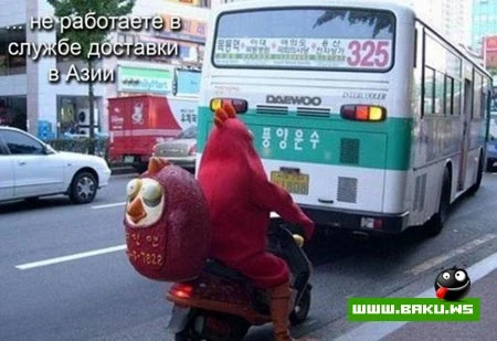 Вас не устраивает работа? (9 фото)