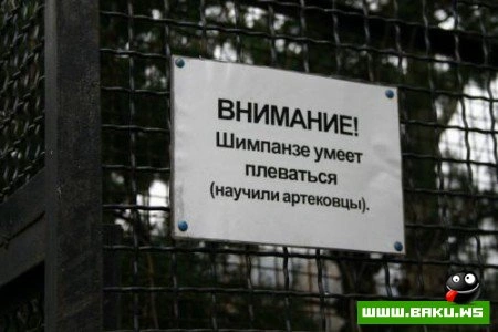 Улыбнуло ;)