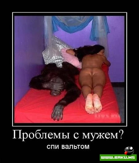 Смотрим все Демотиваторы + 43 ФОТО
