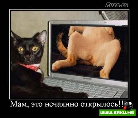 Смотрим все Демотиваторы + 43 ФОТО