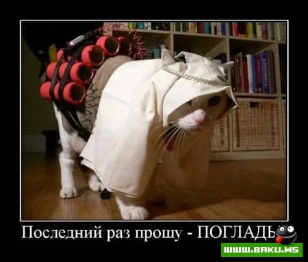 Смотрим все Демотиваторы + 43 ФОТО