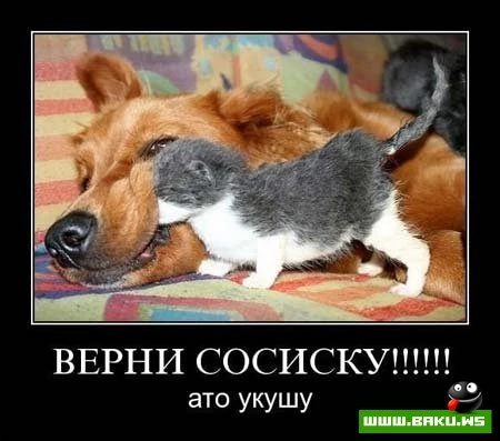Смотрим все Демотиваторы + 43 ФОТО