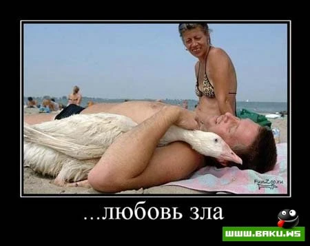 Смотрим все Демотиваторы + 43 ФОТО