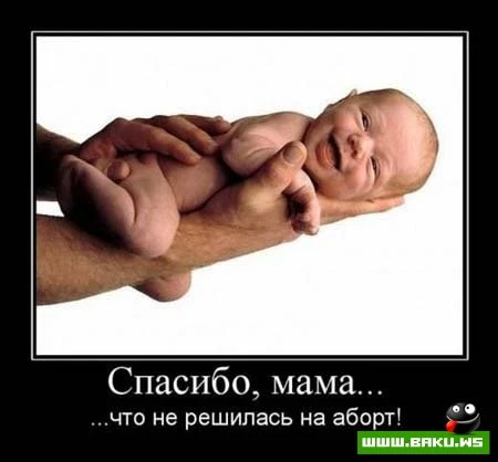 Смотрим все Демотиваторы + 43 ФОТО