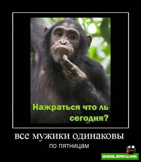 Смотрим все Демотиваторы + 43 ФОТО