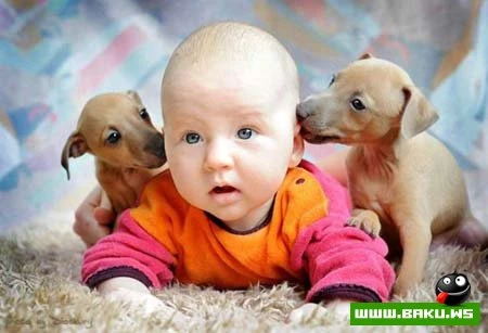 Цветы жизни (85 фото)
