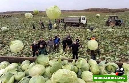 Подборка - Весёлые картинки (26 Фото)