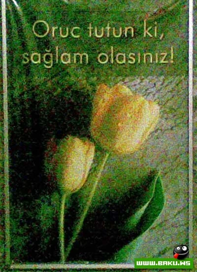 Milli Yumor  - 29 FOTO
