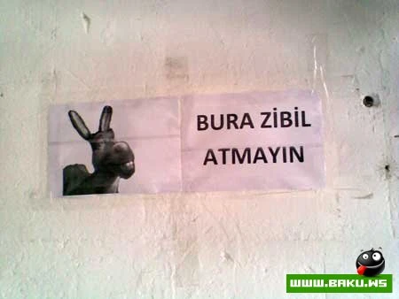 Milli Yumor  - 29 FOTO