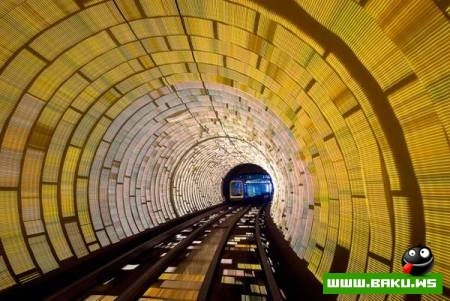 Fotoşəkil müsabiqəsi National Geographic 2009