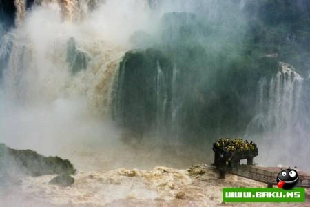 Fotoşəkil müsabiqəsi National Geographic 2009