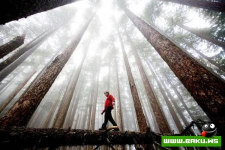 Fotoşəkil müsabiqəsi National Geographic 2009