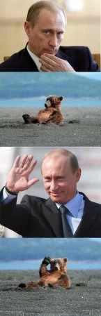 Фотоподборка (21 фото)