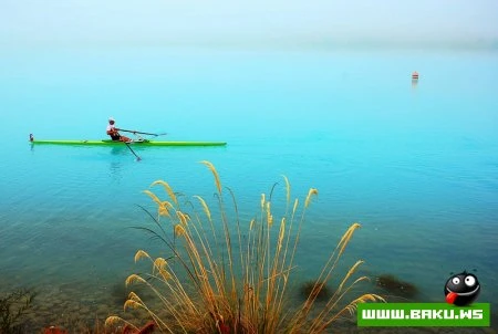 Лучшие спортивные фото 2009 года