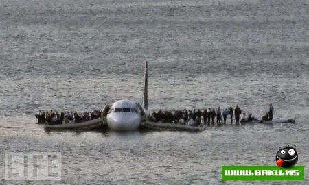 Лучшие фотографии 2009 года по версии LIFE