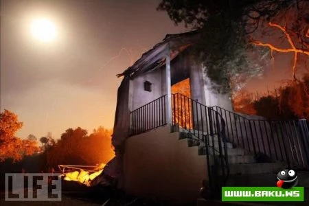 Лучшие фотографии 2009 года по версии LIFE