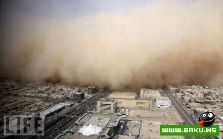 Лучшие фотографии 2009 года по версии LIFE