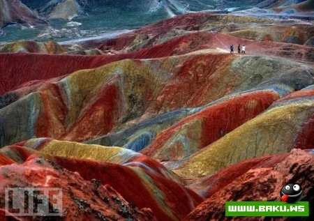 Лучшие фотографии 2009 года по версии LIFE
