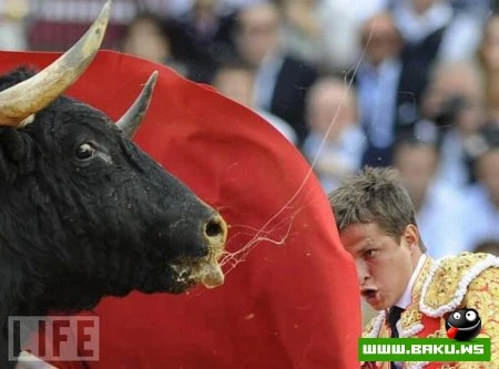Лучшие фотографии 2009 года по версии LIFE