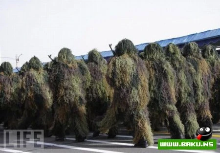 Лучшие фотографии 2009 года по версии LIFE