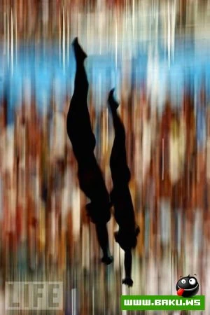 Лучшие фотографии 2009 года по версии LIFE