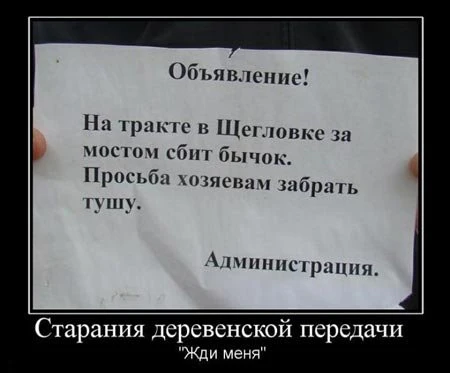 Демотиваторы (31 фото)