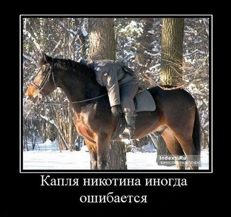 Демотиваторы (31 фото)