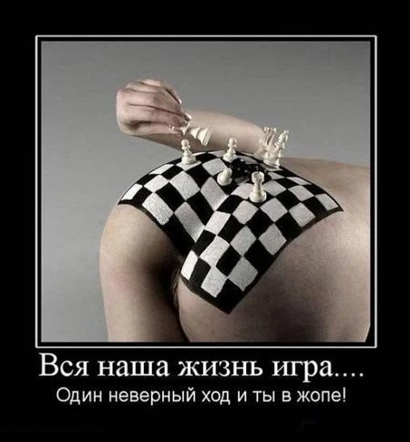 Демотиваторы (31 фото)