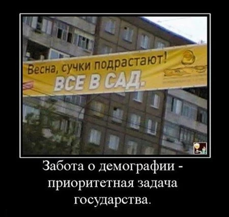 Демотиваторы (31 фото)