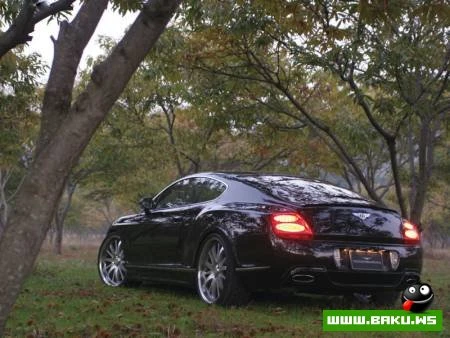 Bentley Continental GT Tuning by Wald International