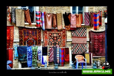 Gənc Fotoqraf Toğrul Məmmədov