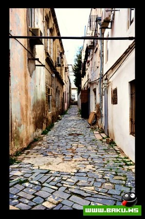 Gənc Fotoqraf Toğrul Məmmədov