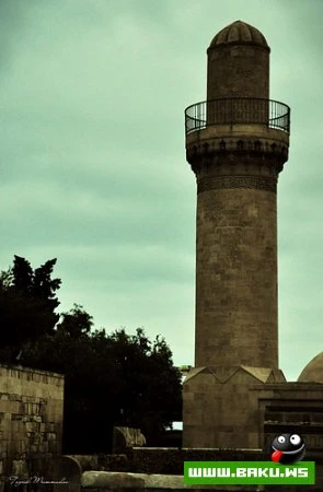 Gənc Fotoqraf Toğrul Məmmədov