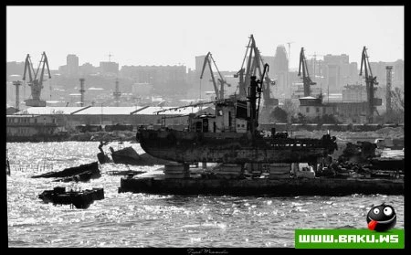 Gənc Fotoqraf Toğrul Məmmədov