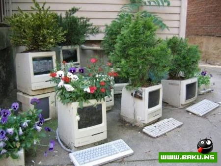 Kompyuter Manyakları