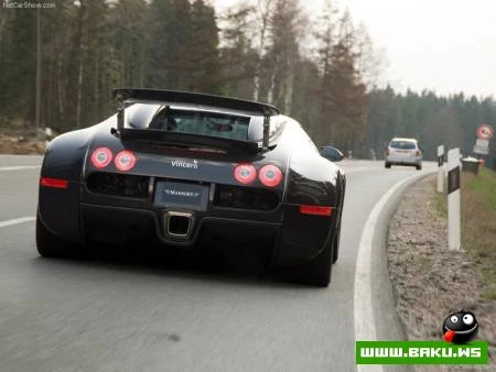 Bugatti Veyron [Tuning by Mansory Linea Vincero]