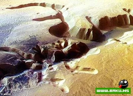 Mars planetində canlı aləm?