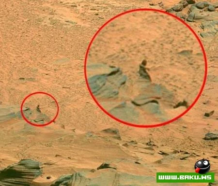 Mars planetində canlı aləm?