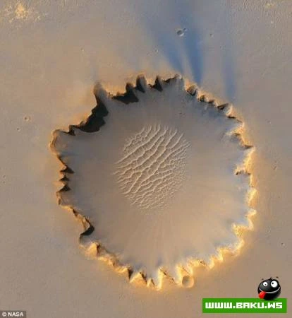 Mars planetində canlı aləm?