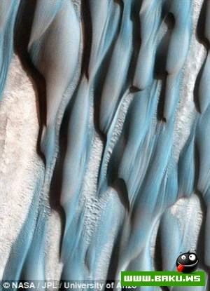 Mars planetində canlı aləm?