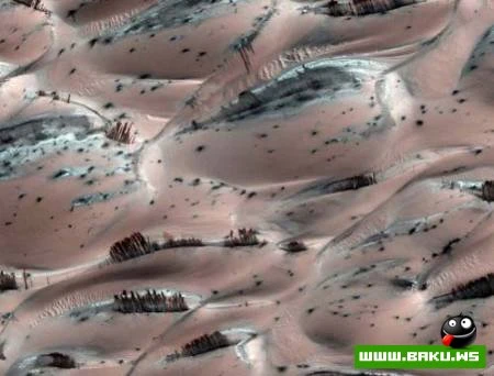 Mars planetində canlı aləm?