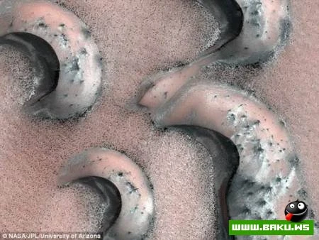 Mars planetində canlı aləm?