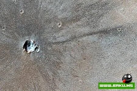 Mars planetində canlı aləm?