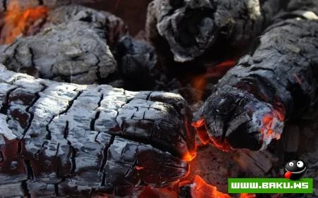 Ocaq Şəkilləri