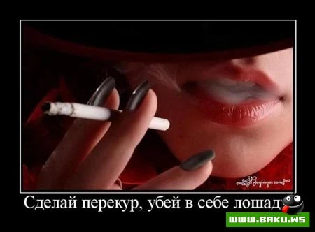 Демотиваторы, сорок восьмая часть (28 фото)